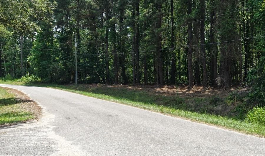 Peace Lane, Bowman, SC 29018 - 0 Beds, 0 Bath