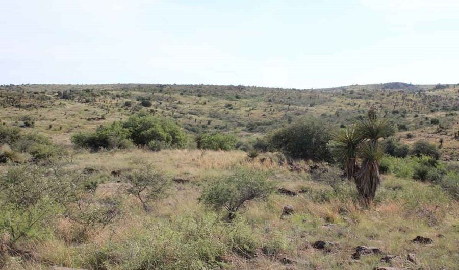 Tract 39 Sierra La Rana, Alpine, TX 79830 - 0 Beds, 0 Bath