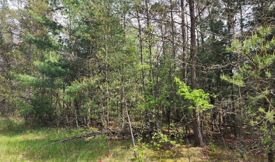 Lot 303 Cypress Drive, Arkdale, WI 54613 - 0 Beds, 0 Bath