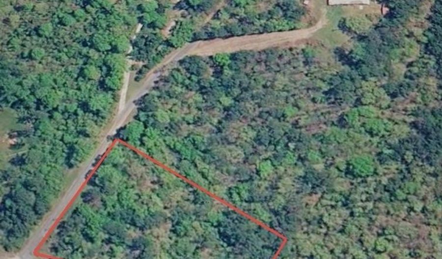 TABLEE LANE lot 1, Ashland, AL 36251 - 0 Beds, 0 Bath