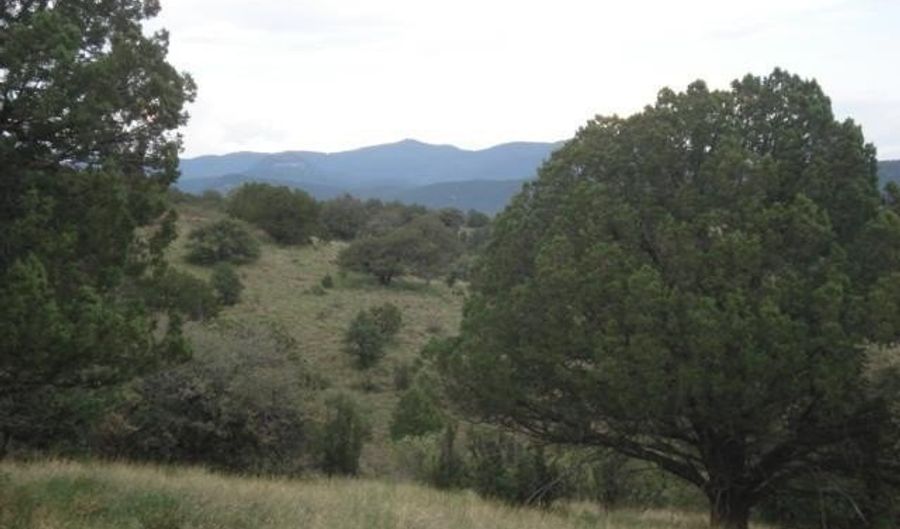 22 Nizhoni Loop, Silver City, NM 88062 - 0 Beds, 0 Bath