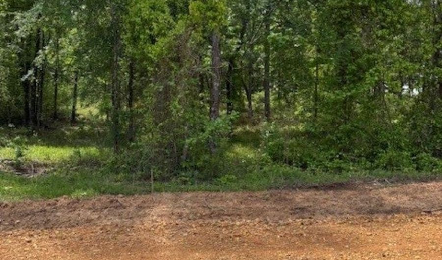 Maddox Court, Arkadelphia, AR 71923 - 0 Beds, 0 Bath