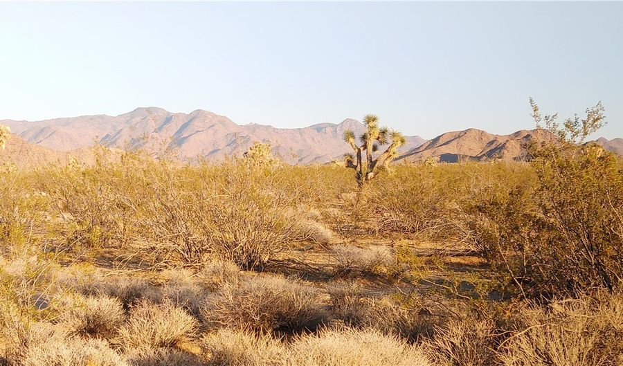 3501 Wild Bill Rd, Yucca, AZ 86438 - 0 Beds, 0 Bath