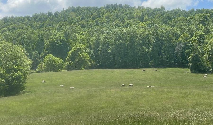 Tract # 13 Hunter Ray Way, Albany, KY 42602 - 0 Beds, 0 Bath