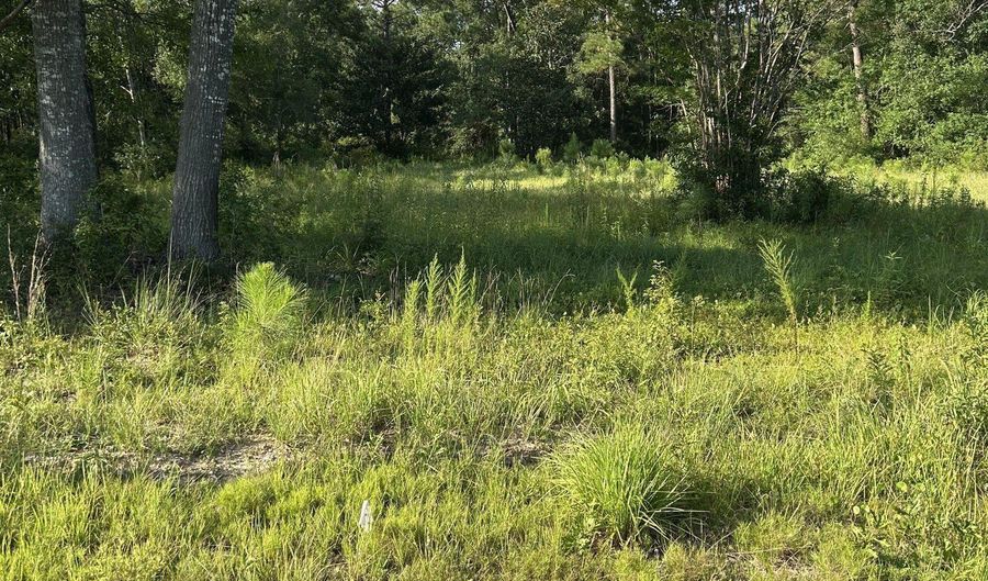 0 Woolmarket Rd, Biloxi, MS 39532 - 0 Beds, 0 Bath