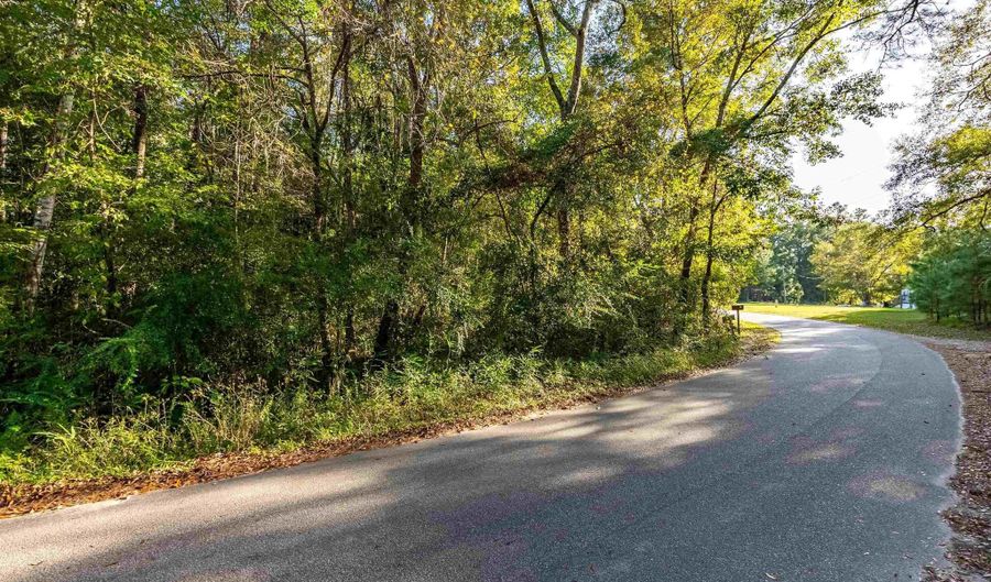 TBD Barnes Rd, Andrews, SC 29510 - 0 Beds, 0 Bath