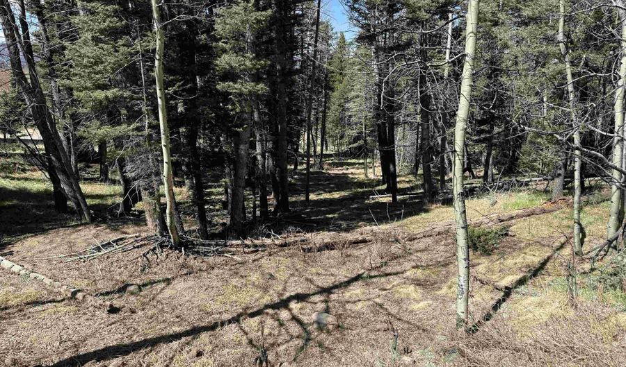 1451 El Camino Real, Angel Fire, NM 87710 - 0 Beds, 0 Bath