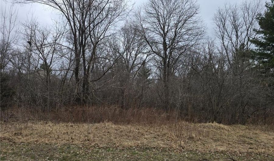 L4 B1 288th Avenue NW, Baldwin Twp., MN 55398 - 0 Beds, 0 Bath