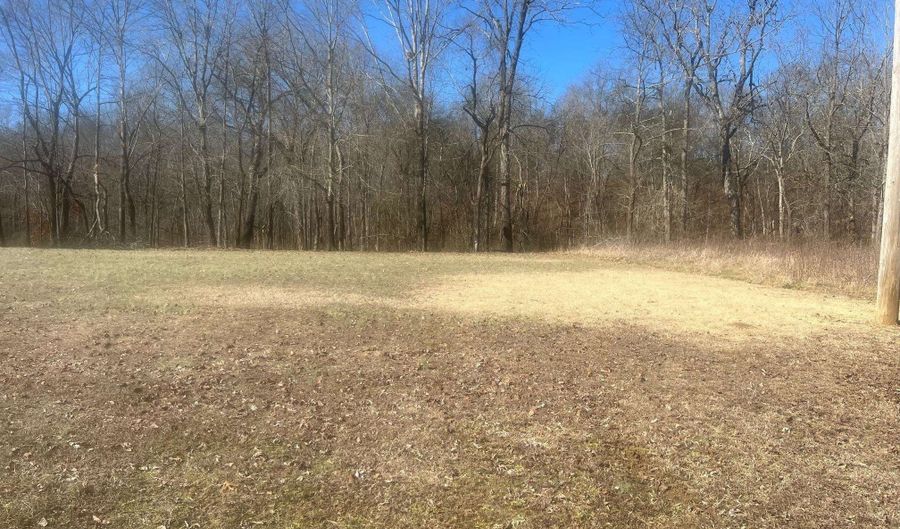 35 TOWBOAT Ln Lot 35, Adamsville, TN 38310 - 0 Beds, 0 Bath