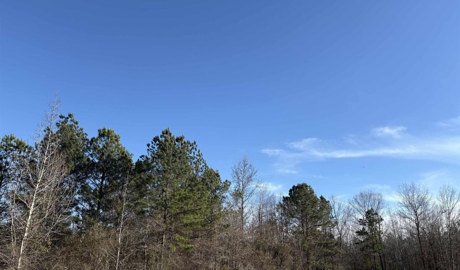 206 Parkway Trail Blvd, Bauxite, AR 72011 - 0 Beds, 0 Bath