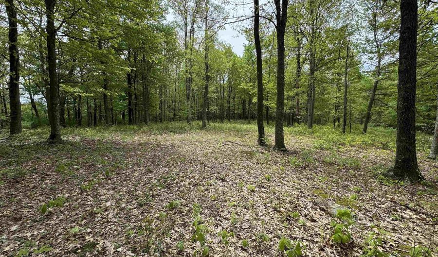 Lot 29 Oak Drive, Albright, WV 26519 - 0 Beds, 0 Bath