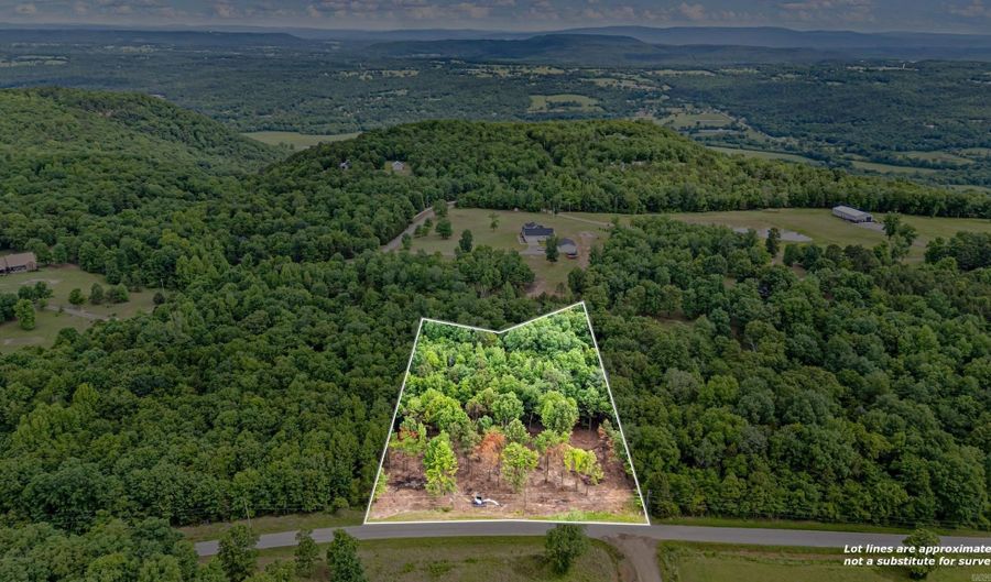 Norris Lane, Atkins, AR 72823 - 0 Beds, 0 Bath