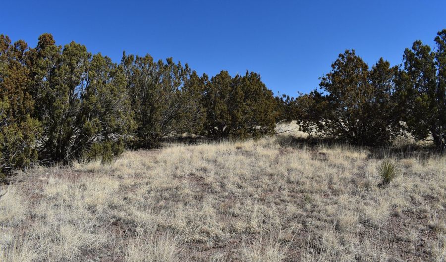 Tbd Stanford Road, Concho, AZ 85924 - 0 Beds, 0 Bath