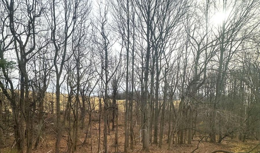 1002 JESSICAS Ct F, Bel Air, MD 21014 - 2 Beds, 2 Bath