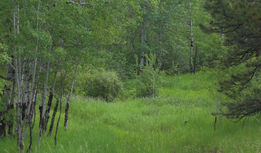 TBD Old Flowers Road, Bellvue, CO 80512 - 0 Beds, 0 Bath