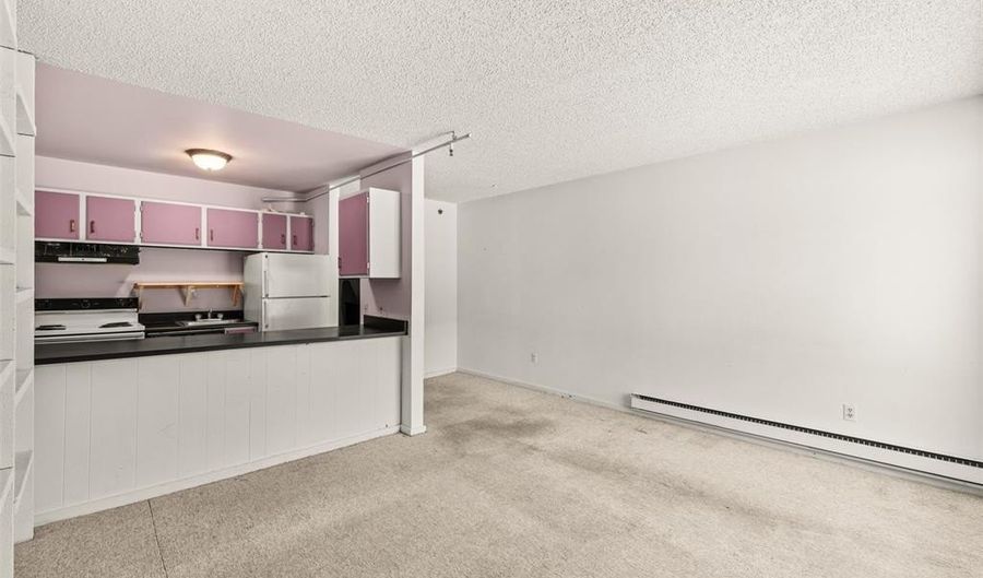 110 S Park Ave 106, Breckenridge, CO 80424 - 0 Beds, 1 Bath