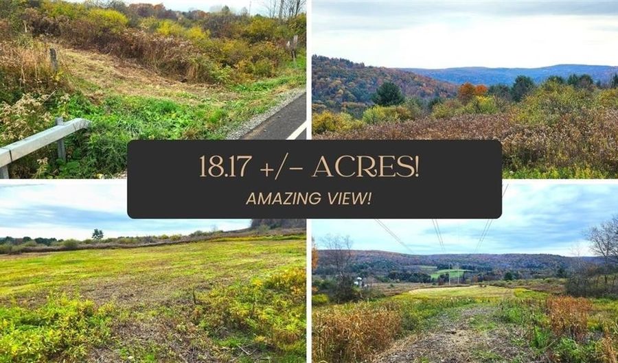 Lot 10 State Highway 41, Afton, NY 13730 - 0 Beds, 0 Bath