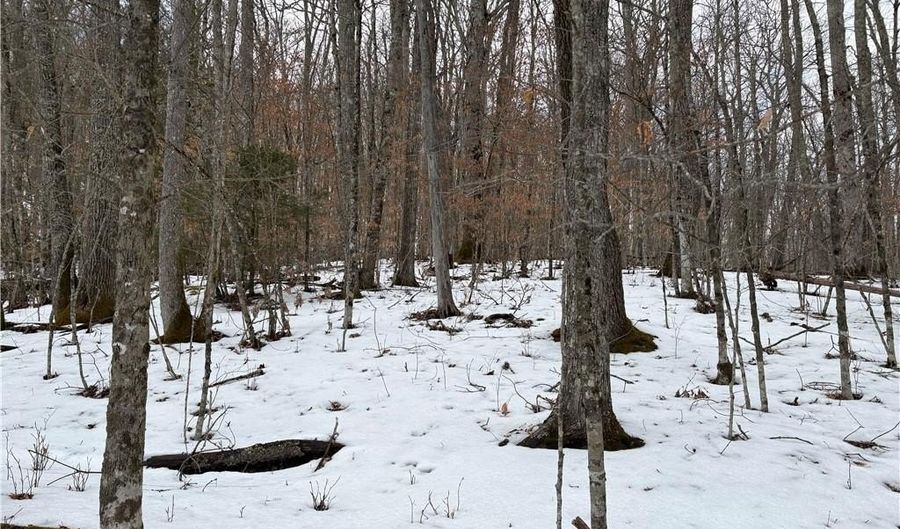 Tract 3 Mountain Vista Lane, Banner Elk, NC 28604 - 0 Beds, 0 Bath