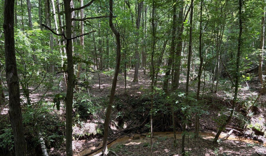 Beauty Hill Rd lot 4, Bethel Springs, TN 38315 - 0 Beds, 0 Bath