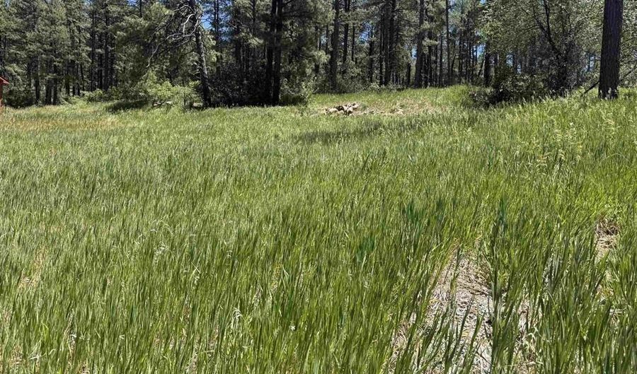 473 Alpine Forest Dr, Bayfield, CO 81122 - 0 Beds, 0 Bath