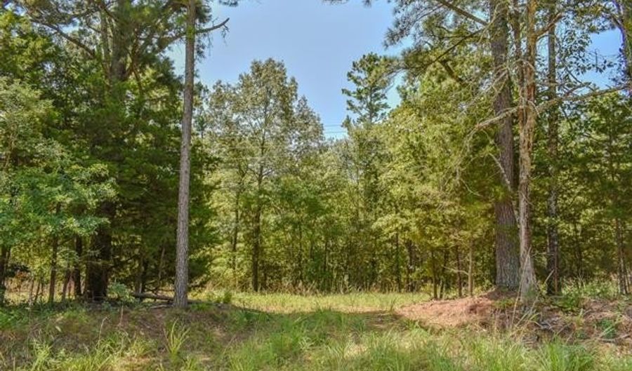 5 N Hall Rd, Antlers, OK 74523 - 0 Beds, 0 Bath