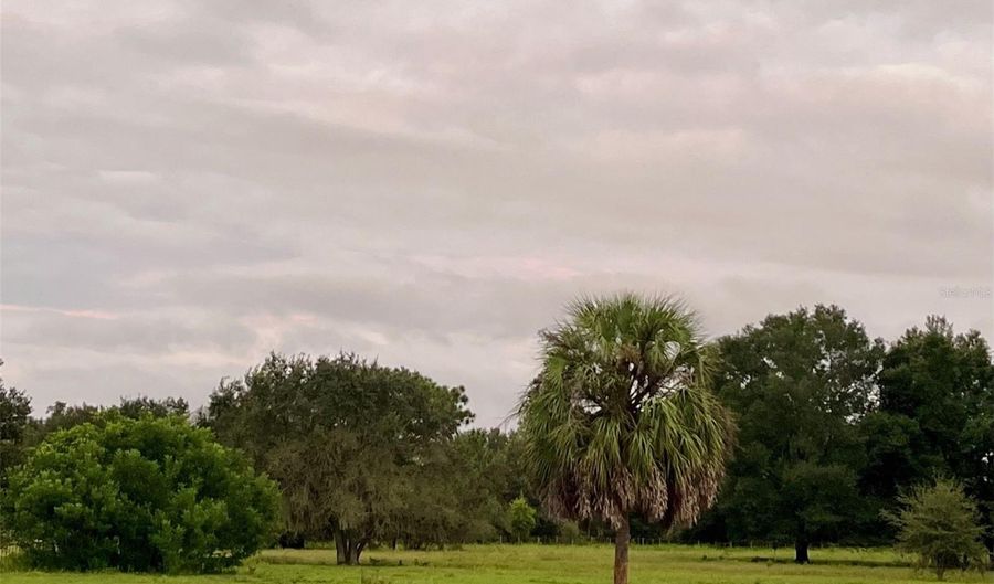 SW 107TH STREET, Archer, FL 32618 - 0 Beds, 0 Bath