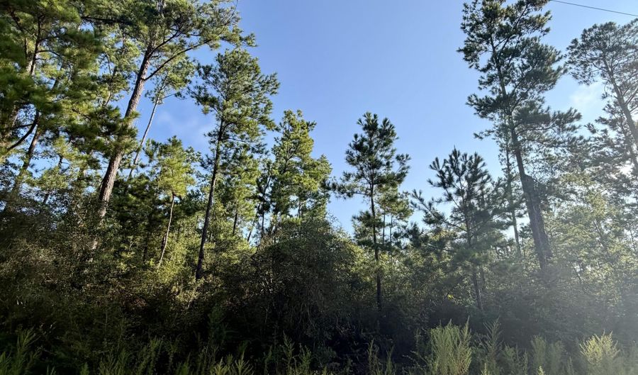 Black Hills Street lot 4, Alford, FL 32420 - 0 Beds, 0 Bath