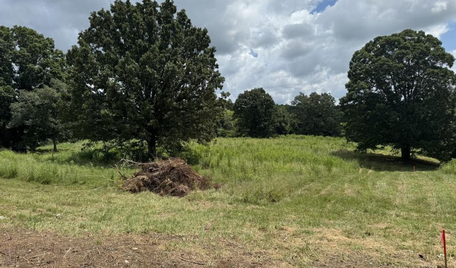 Tract 1 County Road 656, Anderson, AL 35610 - 0 Beds, 0 Bath