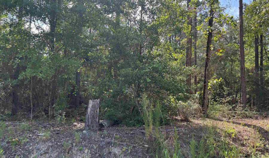 Catherine Bailey Rd, Andalusia, AL 36421 - 0 Beds, 0 Bath