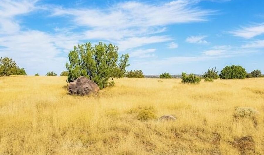 Arapaho, Concho, AZ 85924 - 0 Beds, 0 Bath