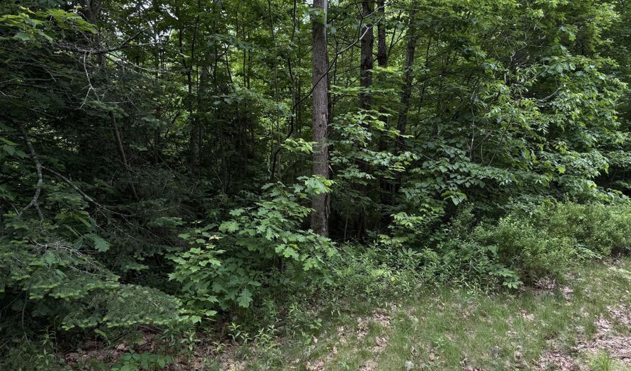 Lot 09 Riverside Drive, Auburn, ME 04210 - 0 Beds, 0 Bath