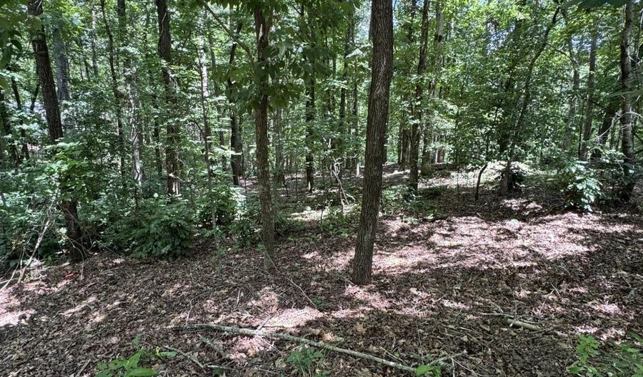 49 La Granja Cir, Hot Springs Village, AR 71909 - 0 Beds, 0 Bath