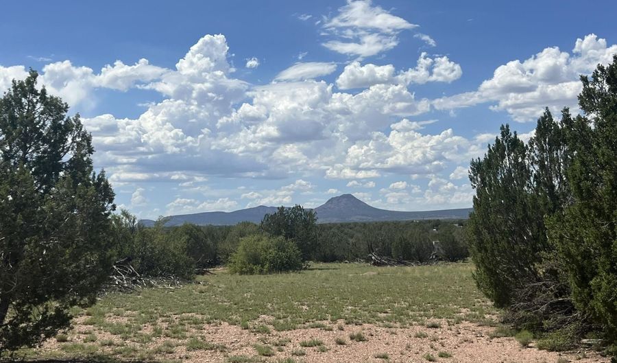 62 Cone Ln, Ash Fork, AZ 86320 - 0 Beds, 0 Bath