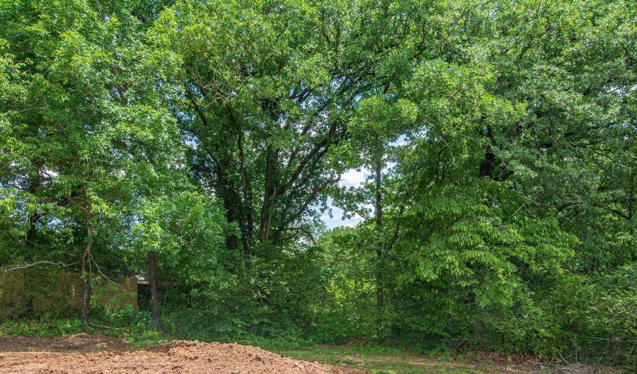 430 Main St, Bauxite, AR 72011 - 3 Beds, 2 Bath