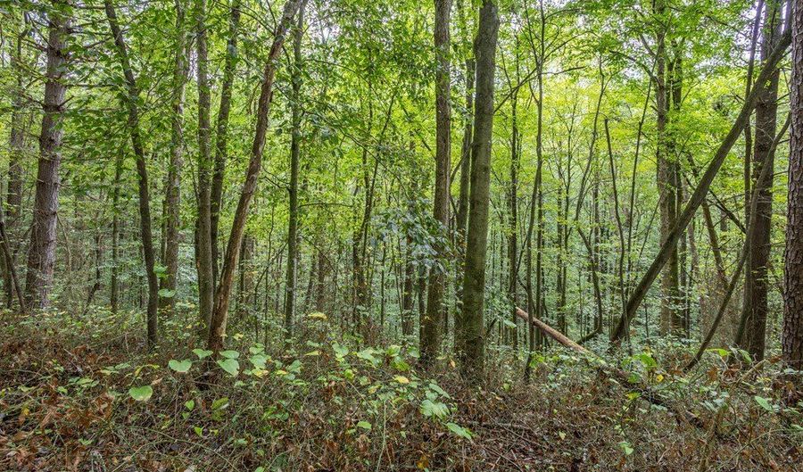 3 Ac Chestnut Flats Rd, Andrews, NC 28901 - 0 Beds, 0 Bath