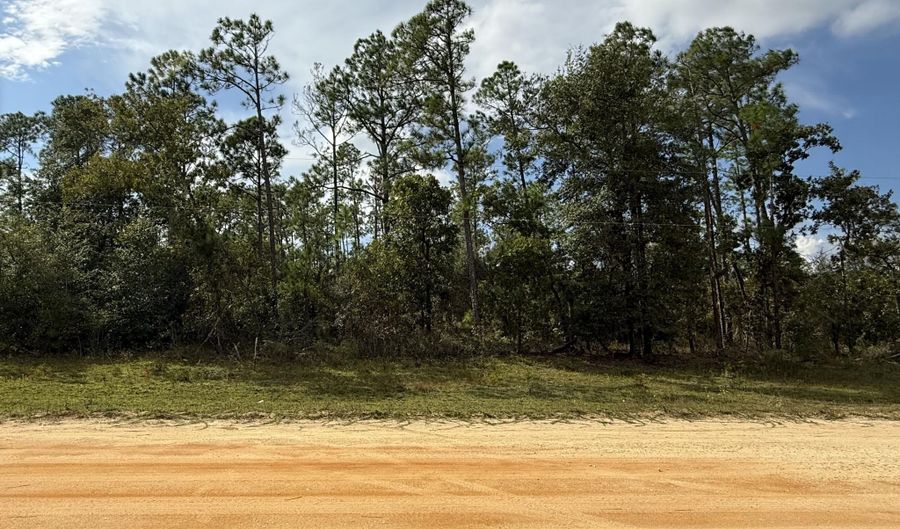 Jefferson Avenue, Alford, FL 32420 - 0 Beds, 0 Bath