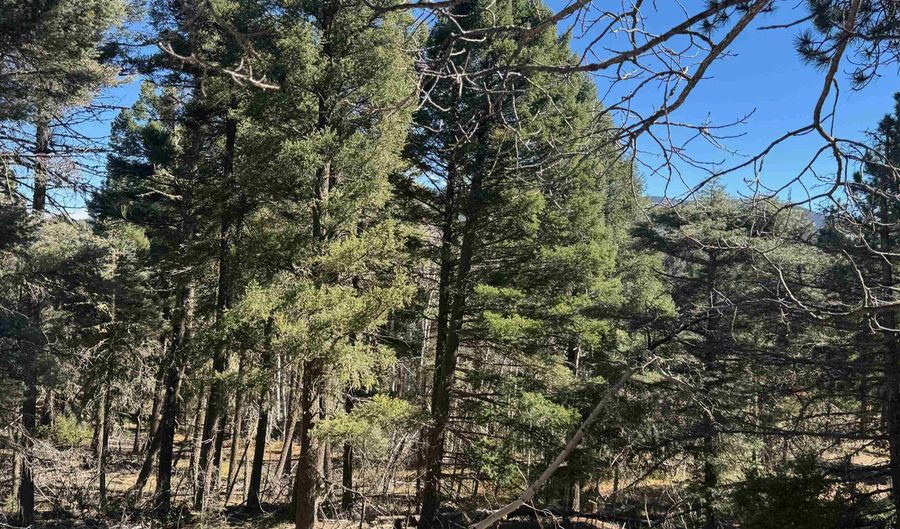 Taos Dr lot 173, Angel Fire, NM 87710 - 0 Beds, 0 Bath