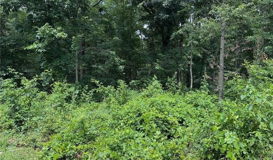 Lot 2 Baltes DR, Bella Vista, AR 72714 - 0 Beds, 0 Bath