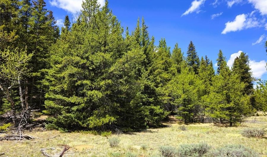 PCS # 10594 Looney Lane lot 0, Alma, CO 80420 - 0 Beds, 0 Bath
