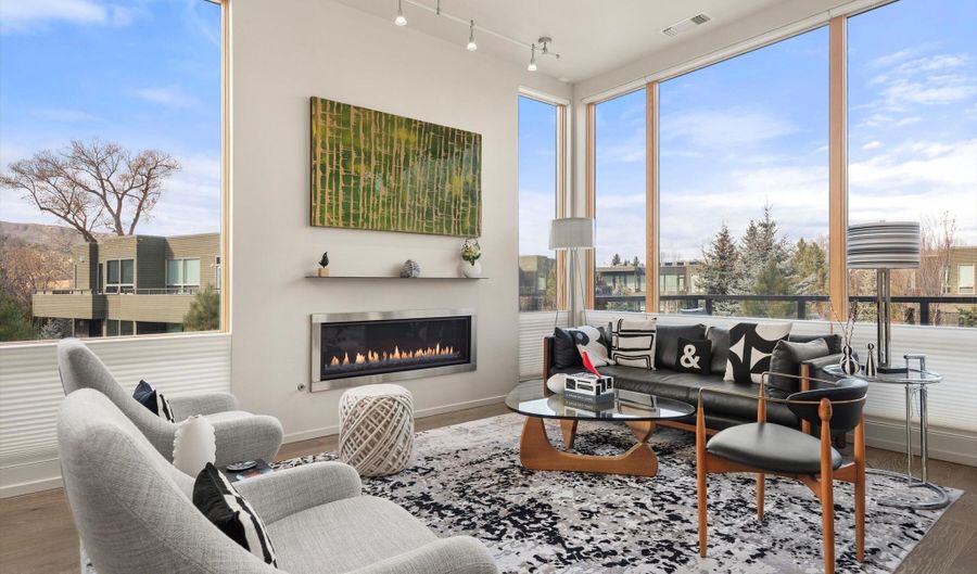 103 Willits Way 204, Basalt, CO 81621 - 2 Beds, 2 Bath