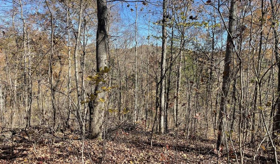 240 Malone Ridge Rd, Albany, KY 42602 - 0 Beds, 0 Bath