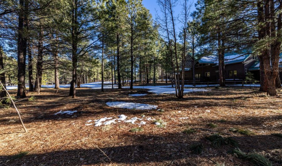 3351 Soaring Eagle Way, Pinetop Lakeside, AZ 85935 - 0 Beds, 0 Bath