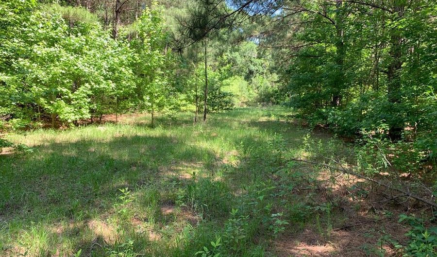 0 Brumfield Rd, Bogue Chitto, MS 39629 - 0 Beds, 0 Bath