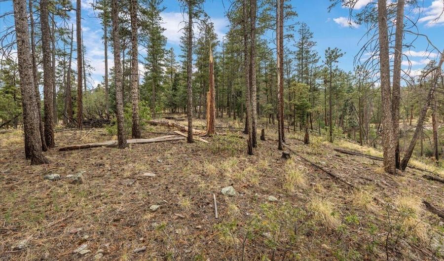 14 County Rd 2074, Alpine, AZ 85920 - 0 Beds, 0 Bath