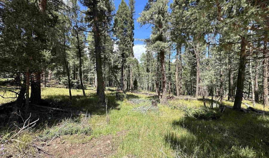 Lot 10 Alpine Lake Terrace, Angel Fire, NM 87710 - 0 Beds, 0 Bath