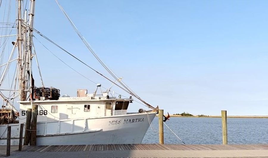 219 Fred Meyer St, Apalachicola, FL 32320 - 0 Beds, 0 Bath