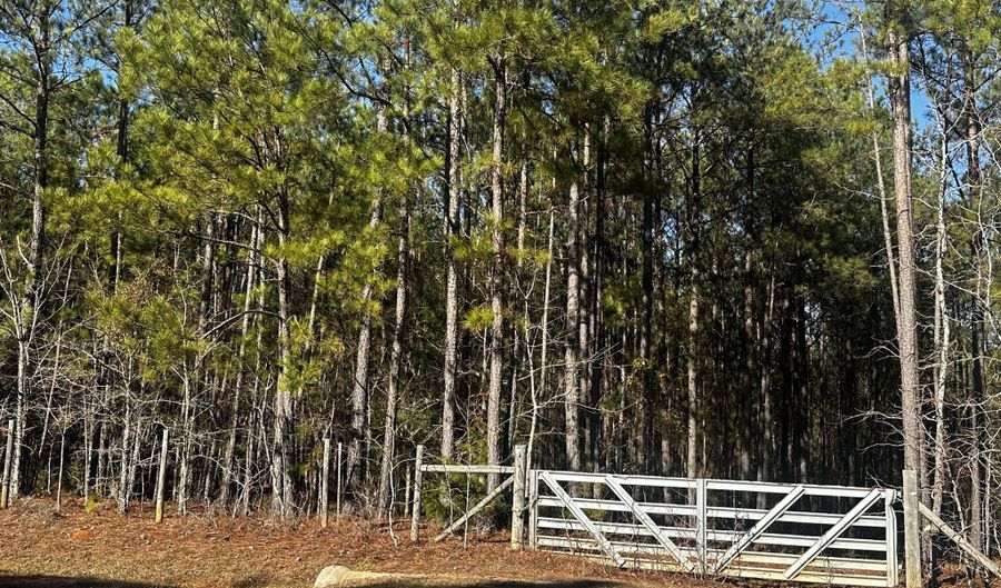 0 BURKS MOUNTAIN Rd, Appling, GA 30802 - 0 Beds, 0 Bath