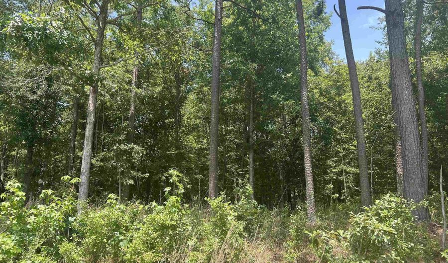 ROSBORO, Amity, AR 71921 - 0 Beds, 0 Bath