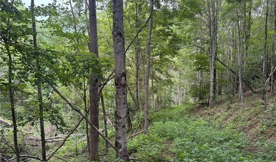 1143 Rominger Rd, Banner Elk, NC 28604 - 0 Beds, 0 Bath