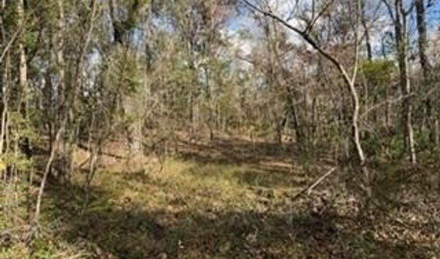 SW 22nd Pl, Bell, FL 32619 - 0 Beds, 0 Bath